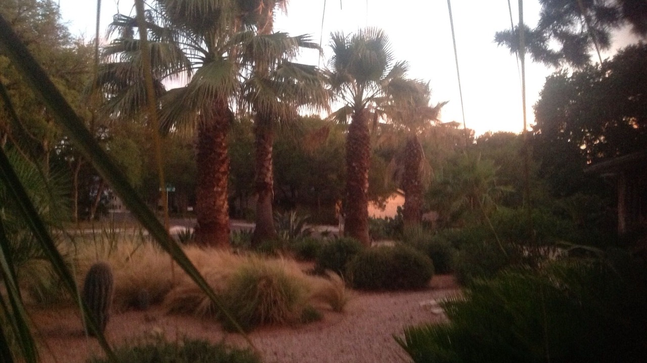Photo of Outdoor in Barton Hills