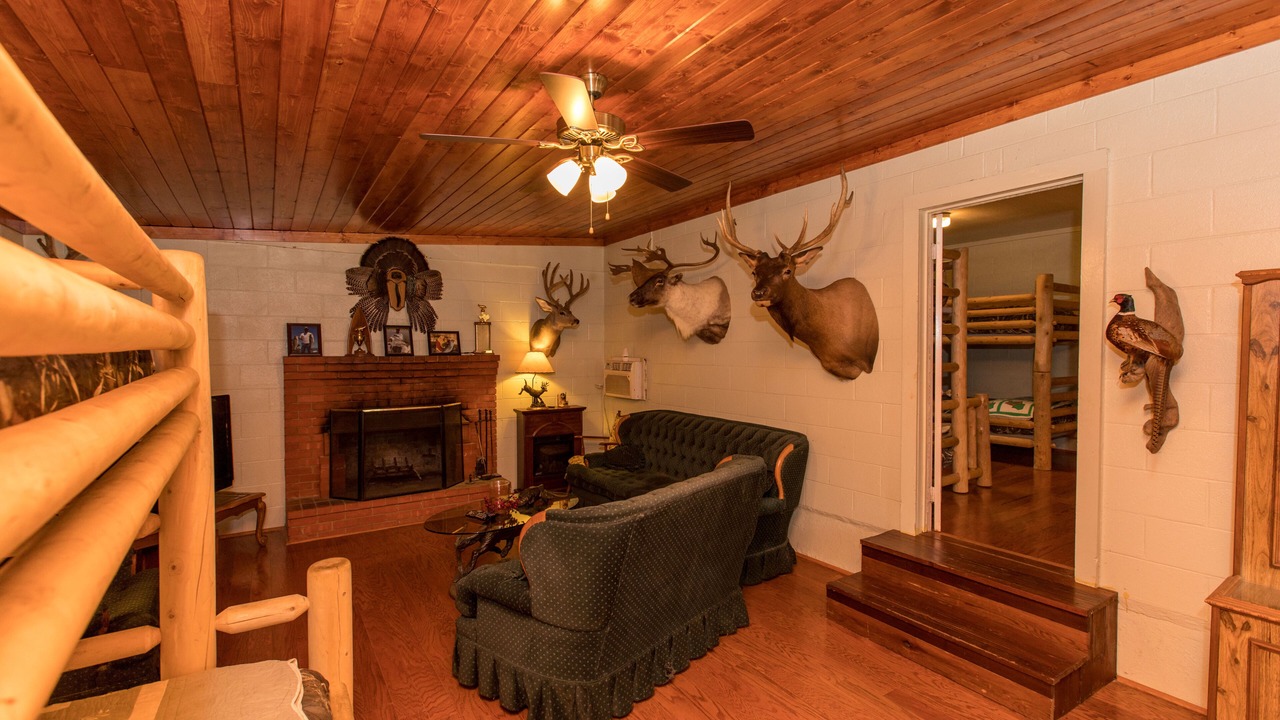 Photo of Livingroom in Clifton