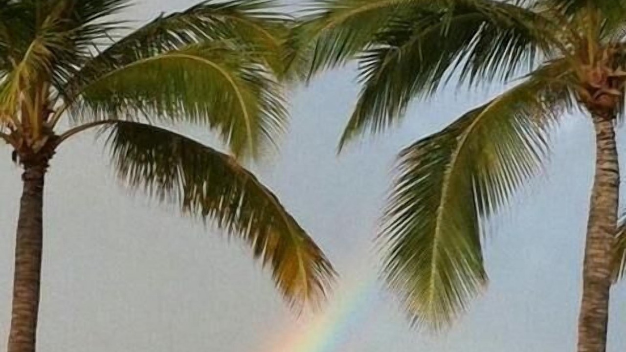 Photo of Others in Makaha