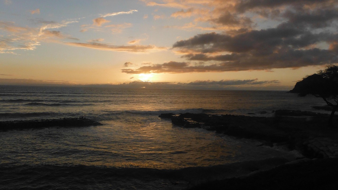 Photo of Others in Makaha