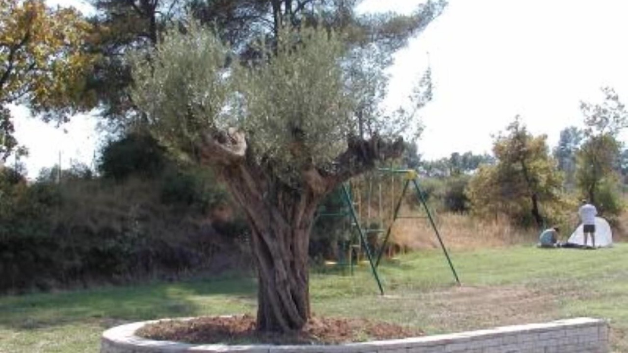 Photo of Outdoor in Meyreuil