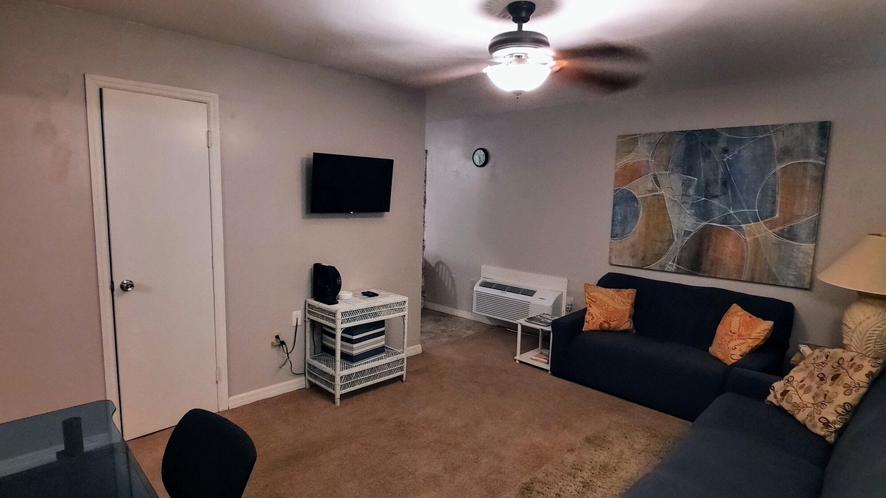 Photo of Livingroom in Punta Gorda
