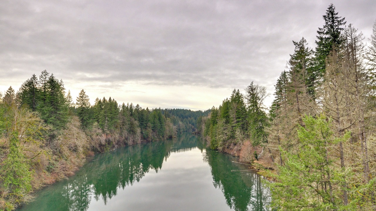 Photo of Others in Estacada