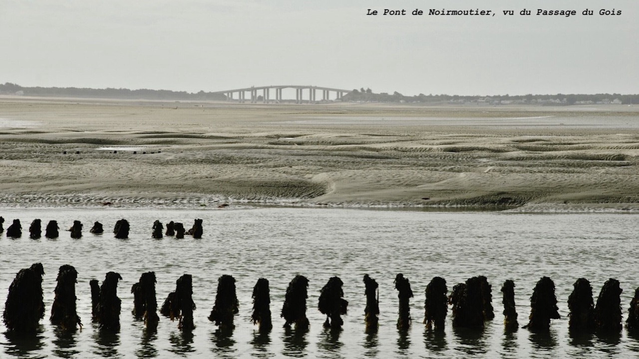 Photo of Others in Beauvoir-sur-Mer
