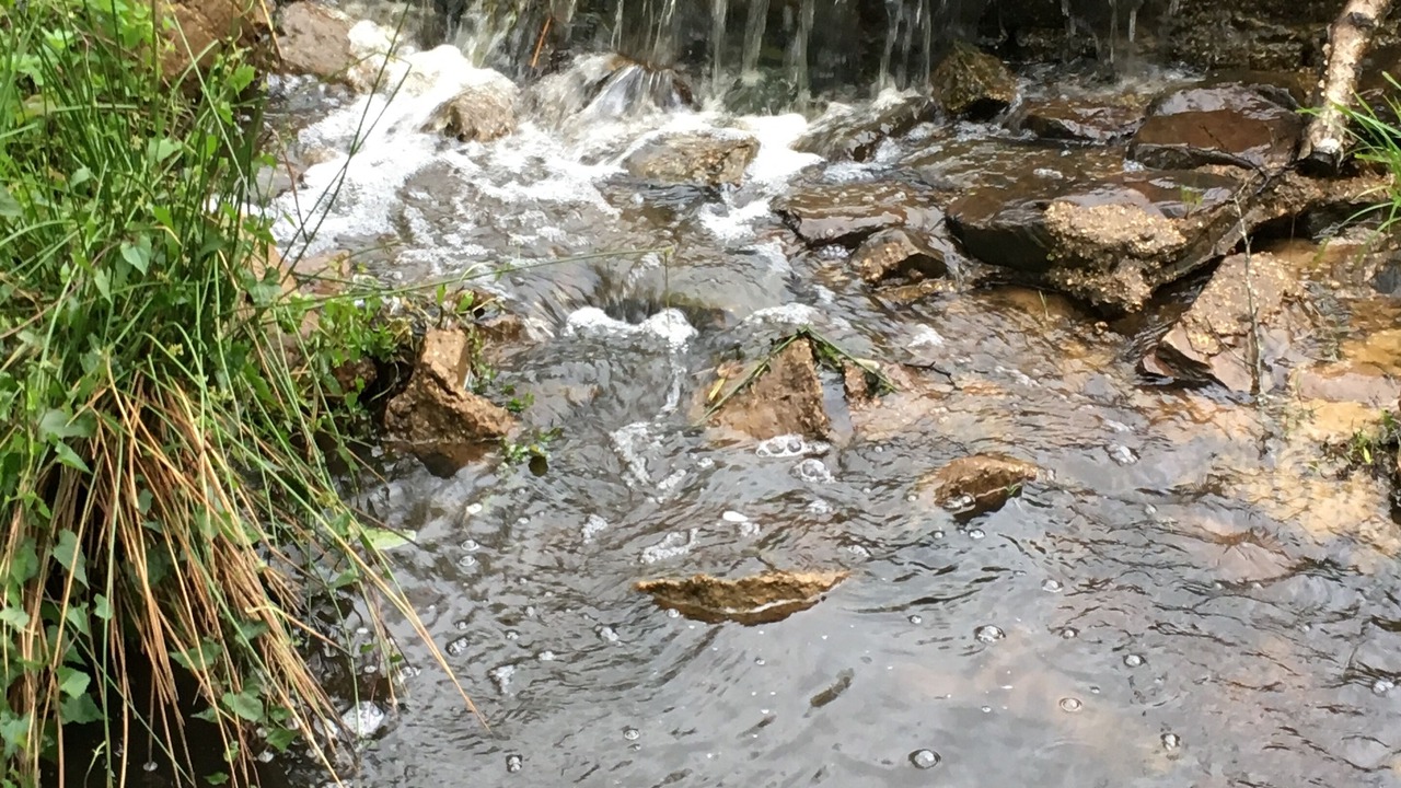 Photo of Others in Flint