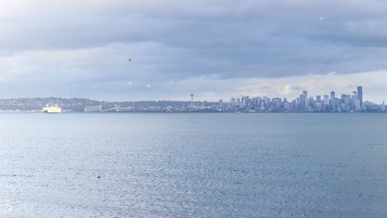 Photo of Others in Bainbridge Island