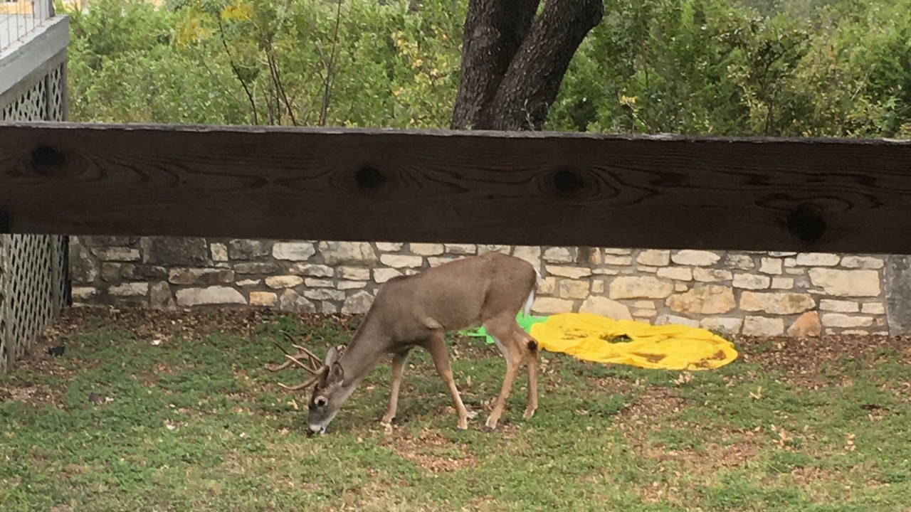Photo of Others in Vista Grande