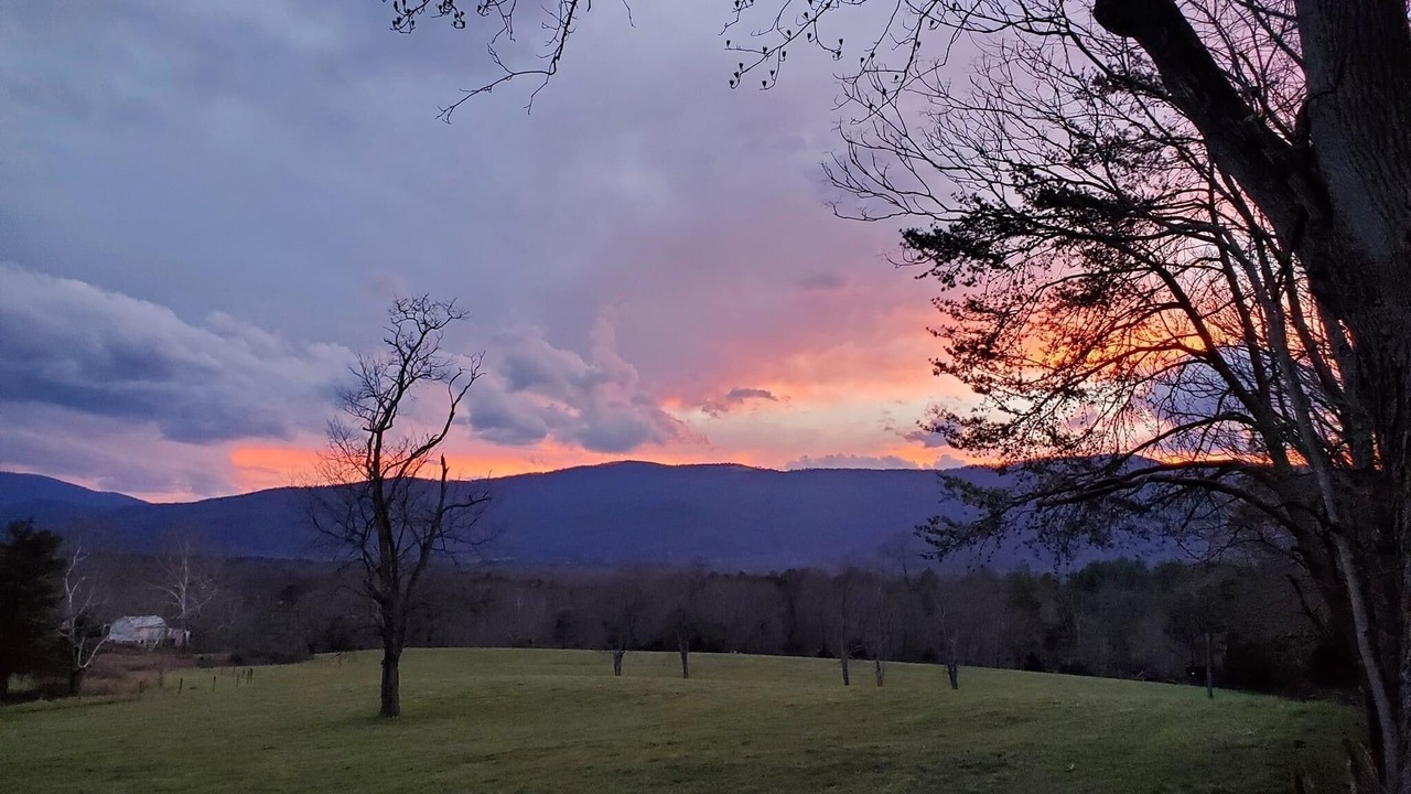 Photo of Outdoor in Wayland Park