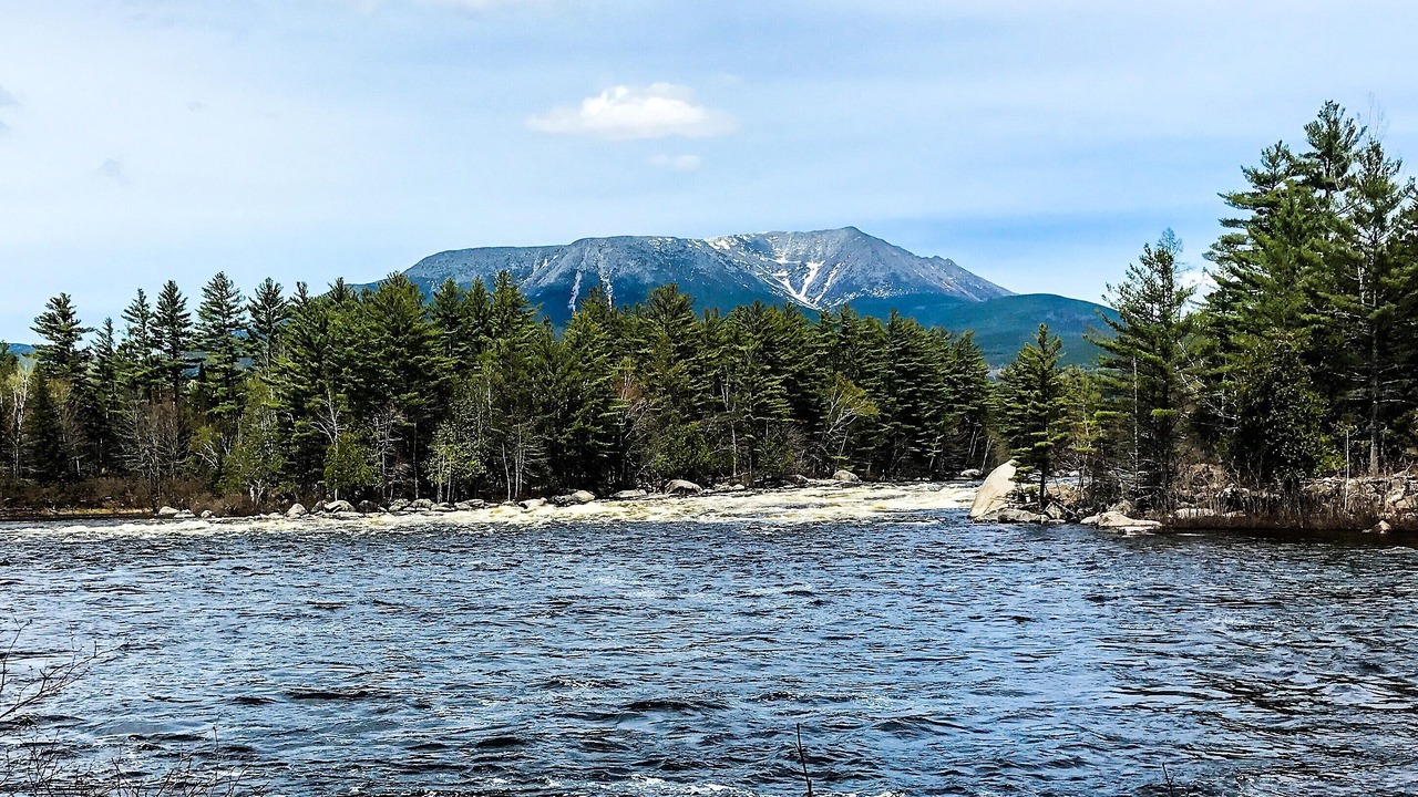 Photo of Others in Millinocket