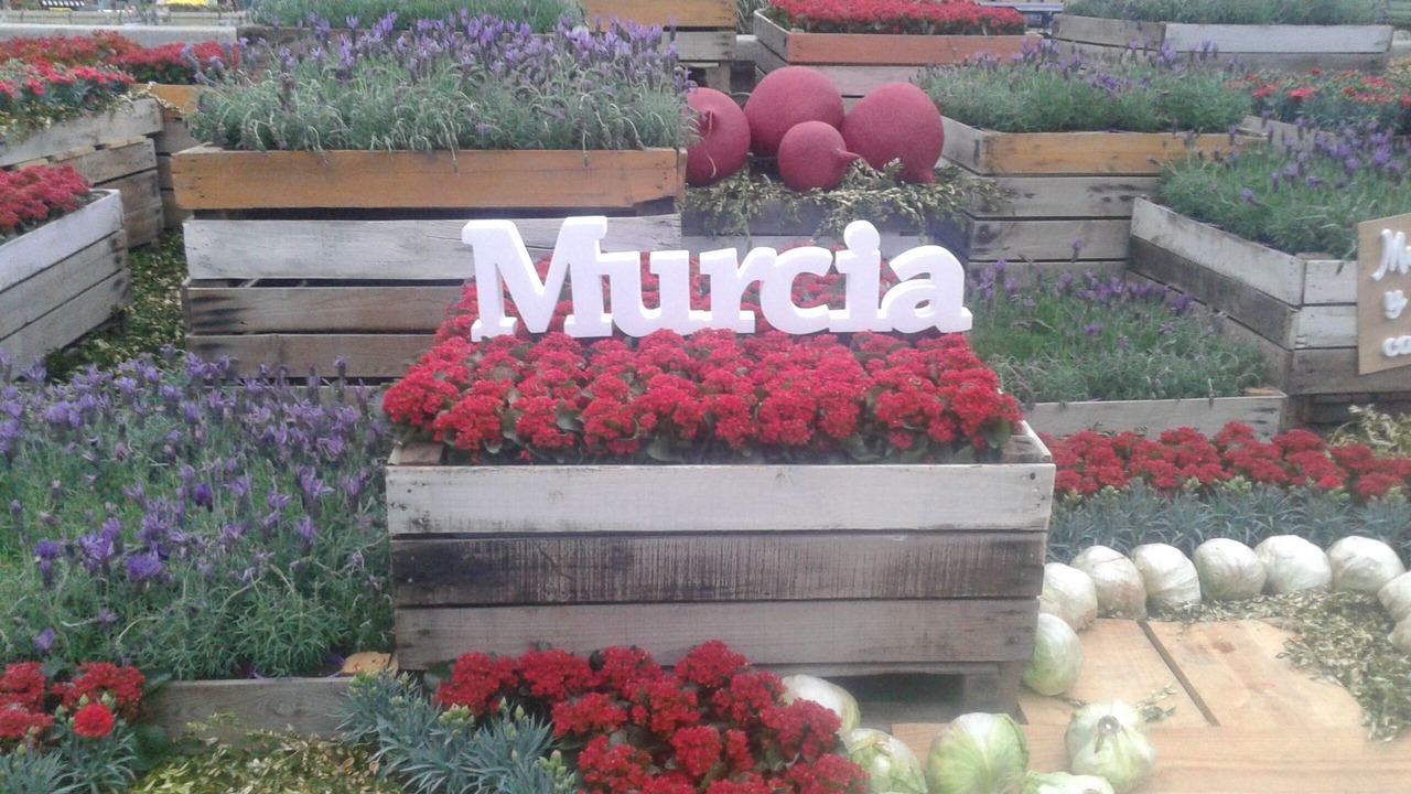 Photo of Outdoor in Murcia