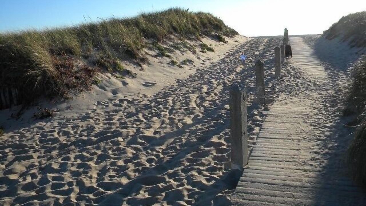 Photo of Others in Truro