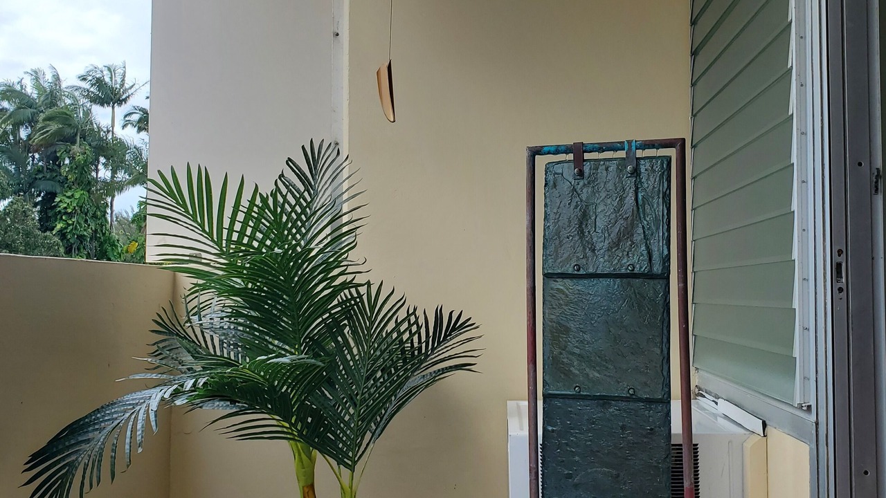 Photo of Others in Hilo