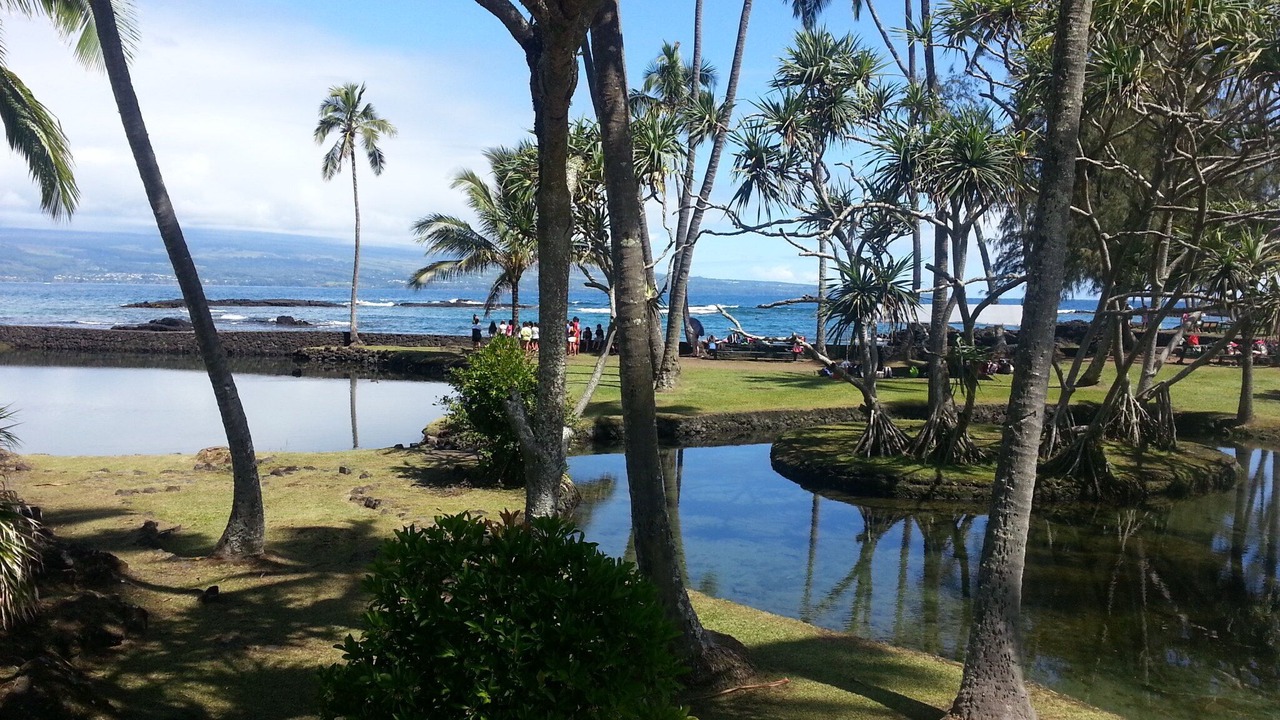 Photo of Others in Hilo