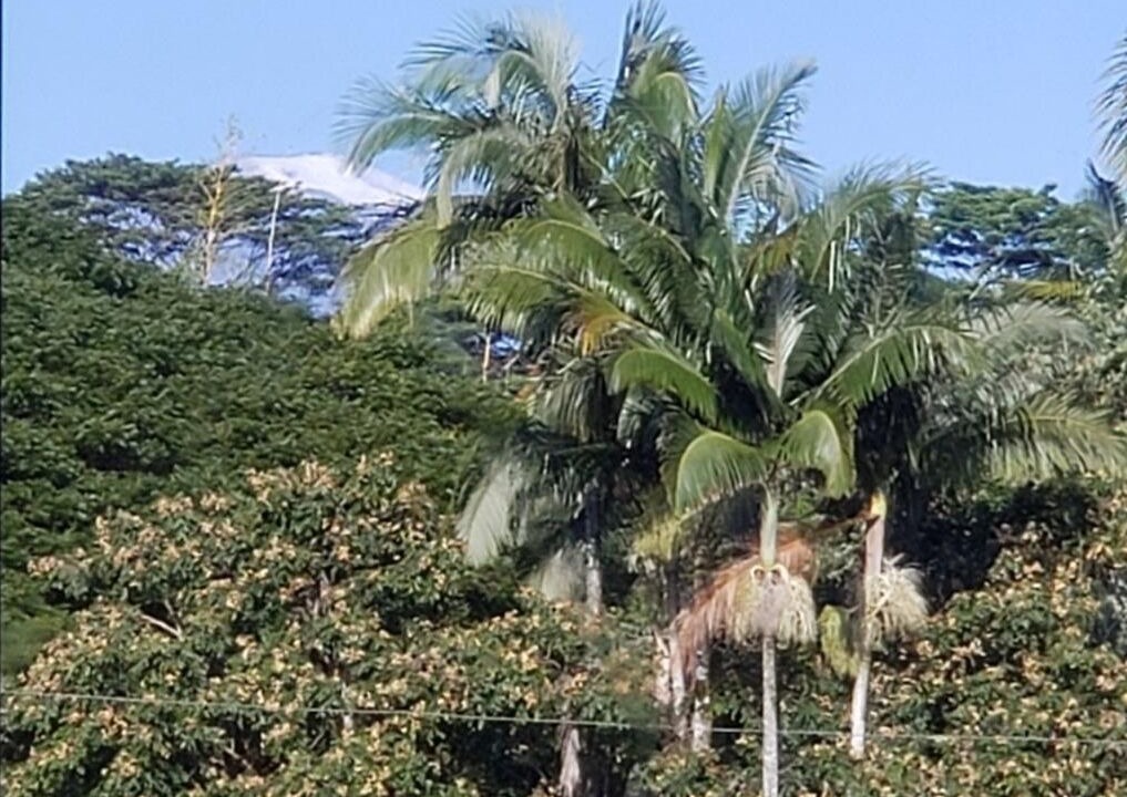 Photo of Bedroom in Hilo