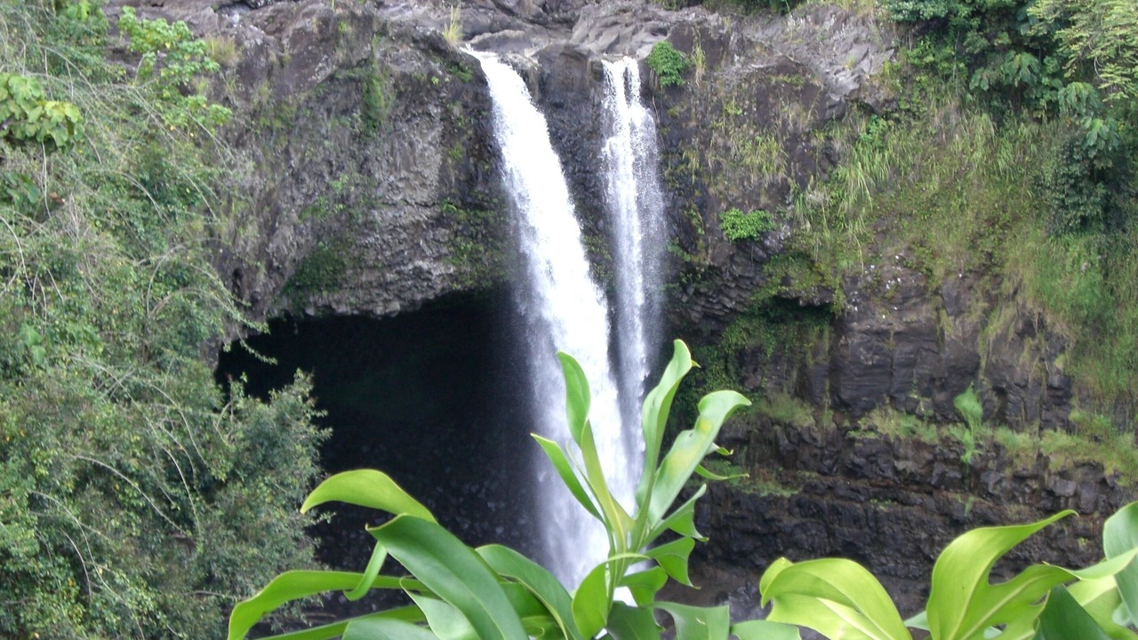 Photo of Others in Hilo