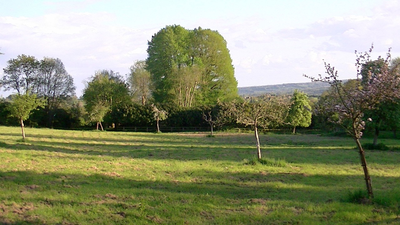 Photo of Others in Touques