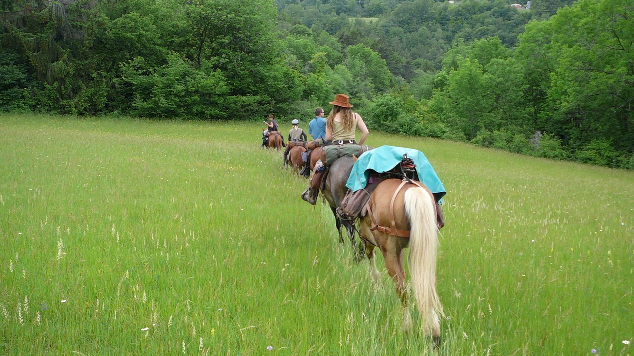 Photo of Others in Saint-Vincent-de-Mercuze