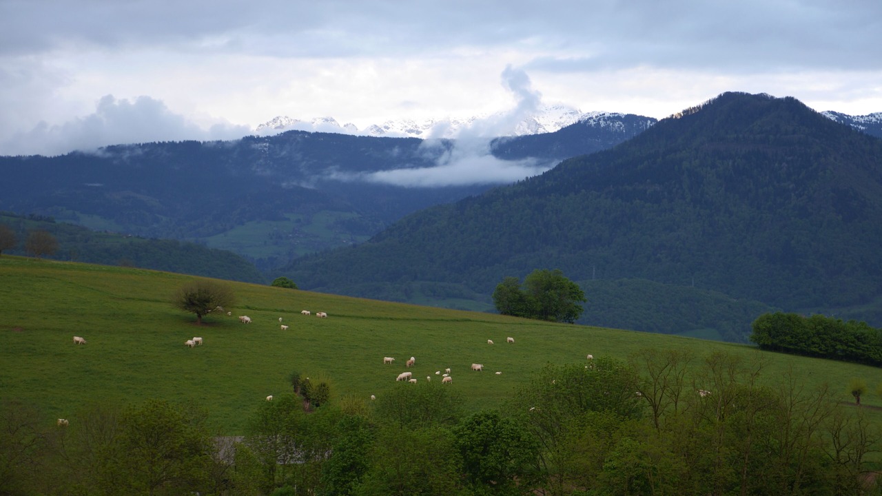 Photo of Others in Saint-Vincent-de-Mercuze