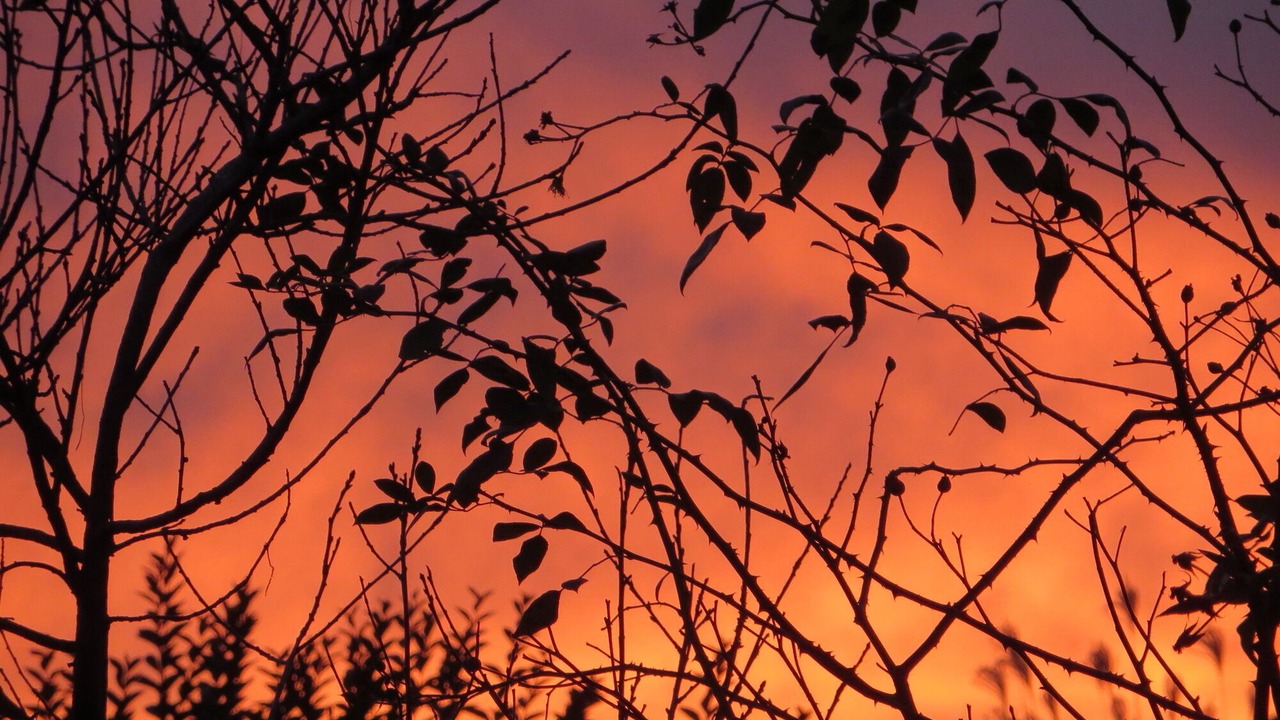 Photo of Outdoor in Viry