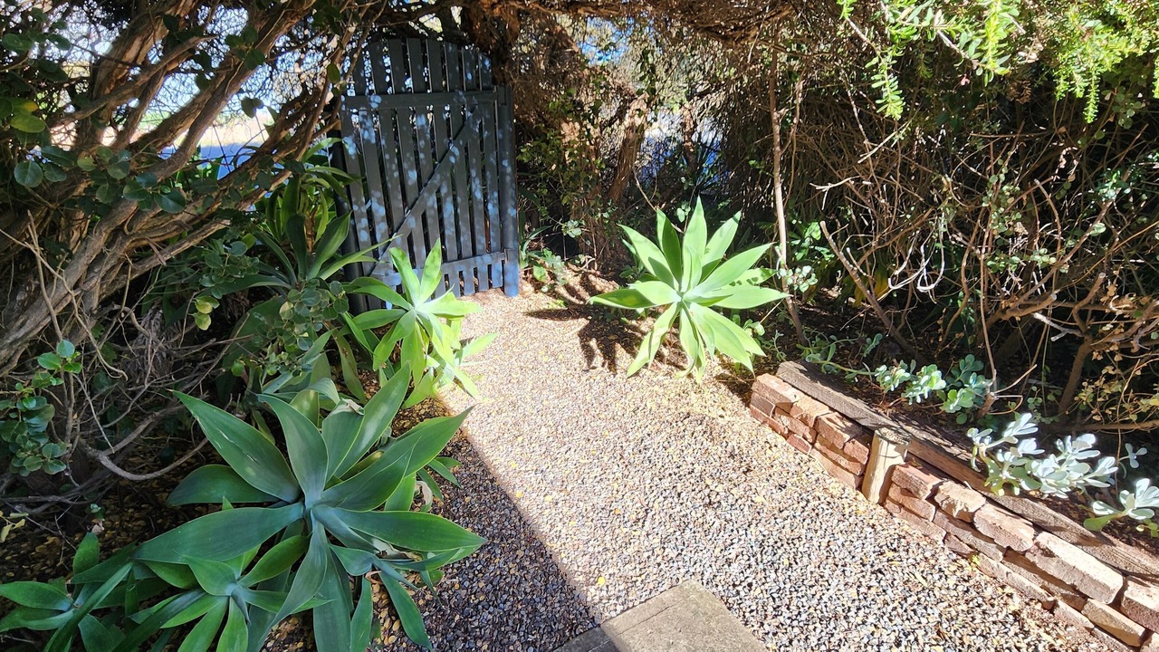 Photo of Outdoor in Port Willunga