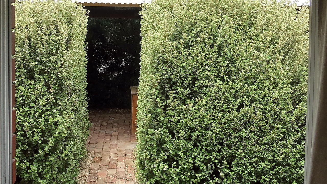 Photo of Outdoor in Port Willunga