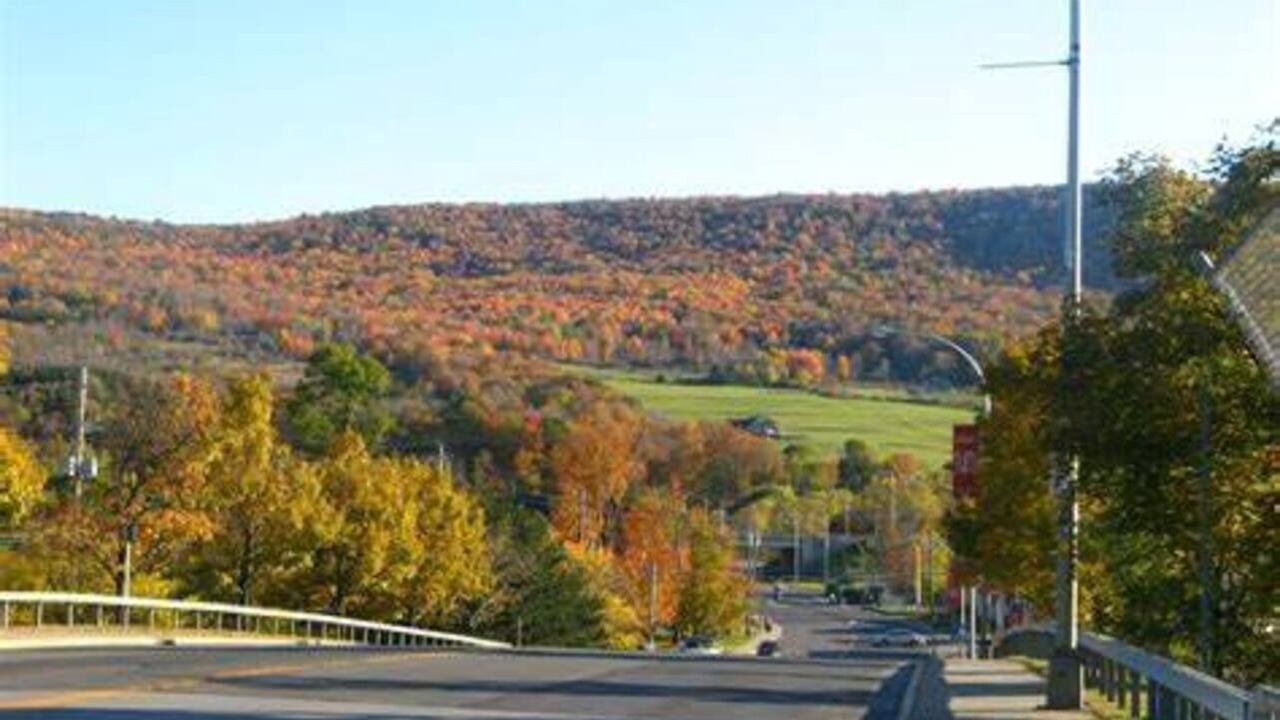 Photo of Others in Oneonta