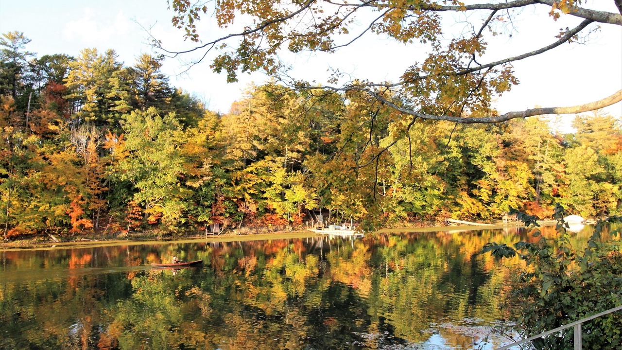 Photo of Others in Maryland