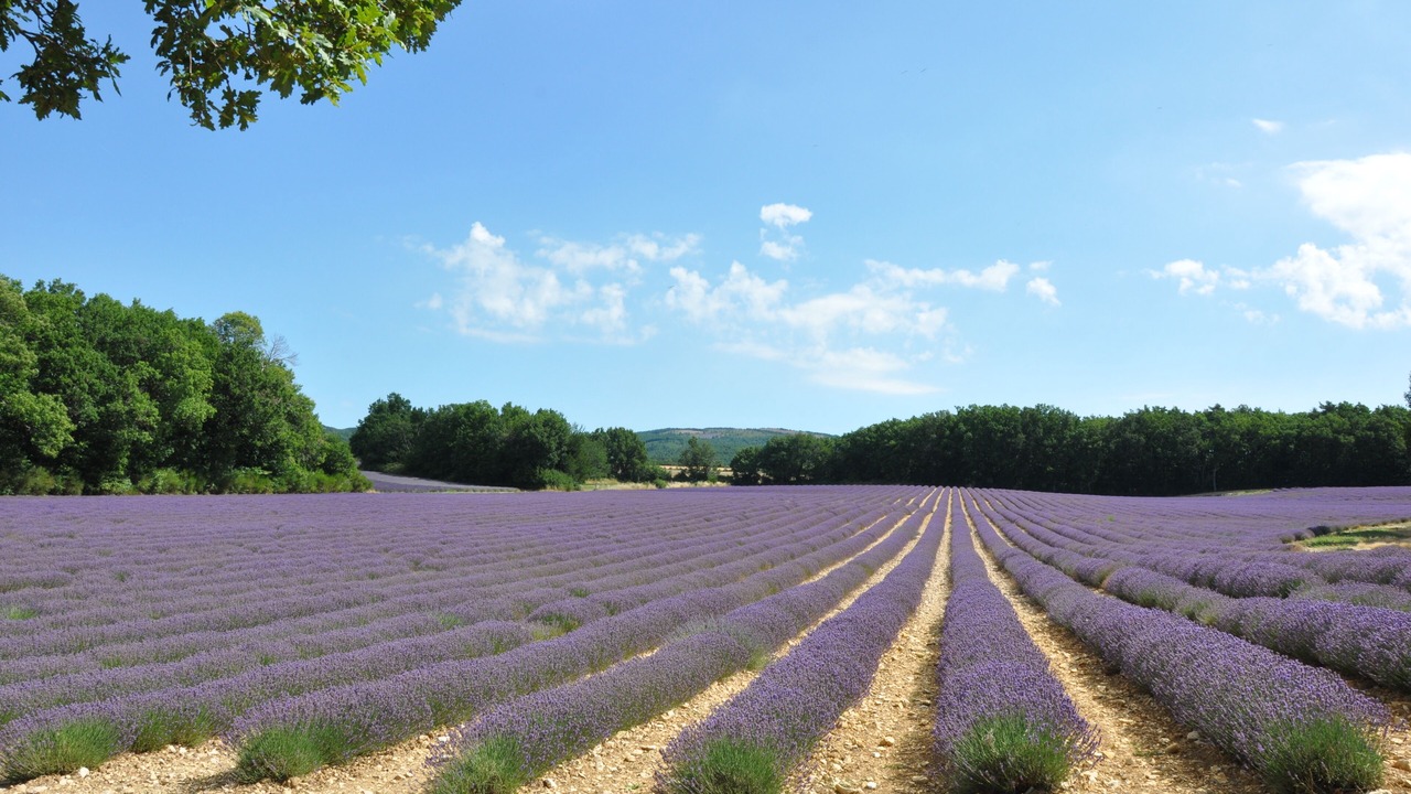 Photo of Outdoor in Saint-Michel-l'Observatoire
