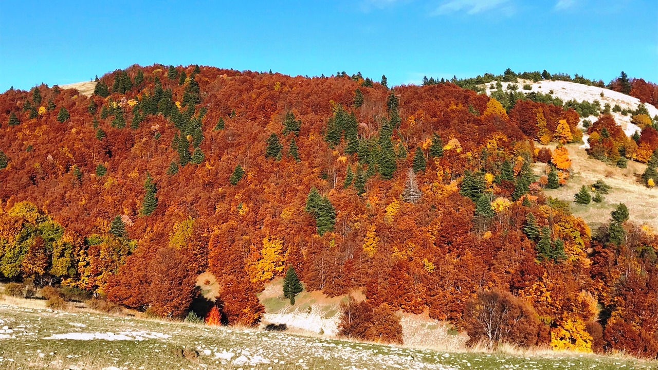 Photo of Outdoor in Saint-Michel-l'Observatoire