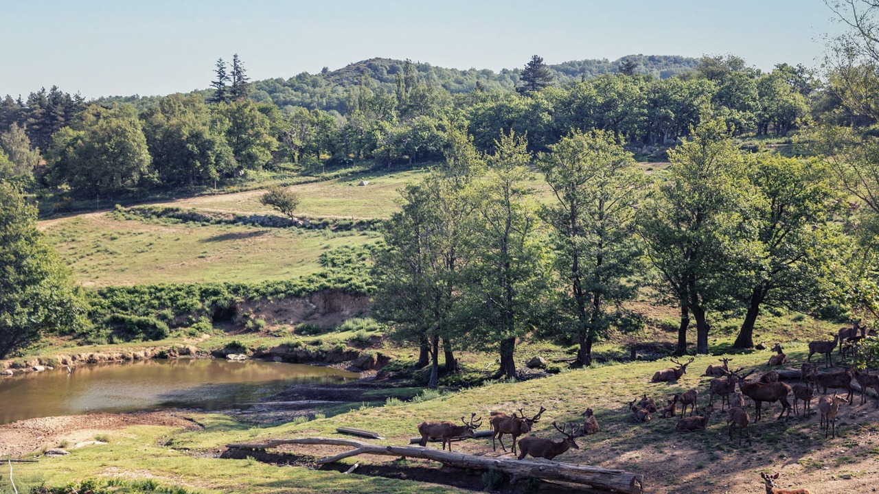 Photo of Outdoor in Maureillas-Las-Illas