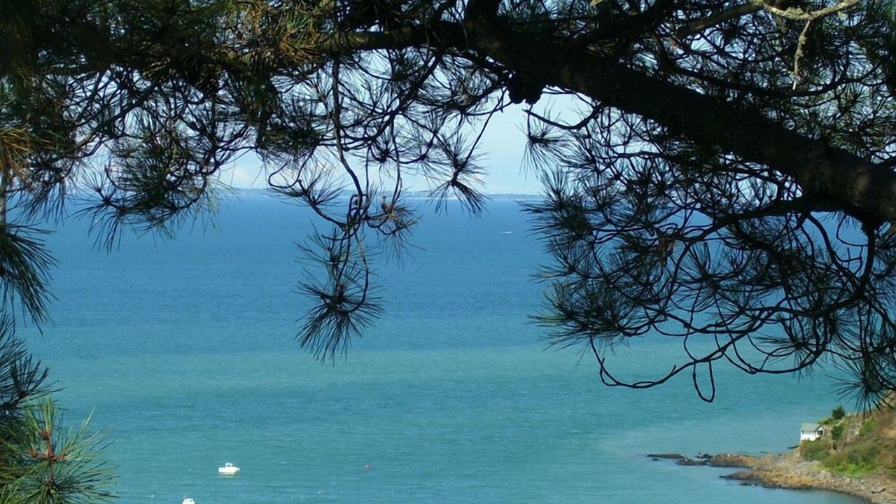 Photo of Others in Champeaux