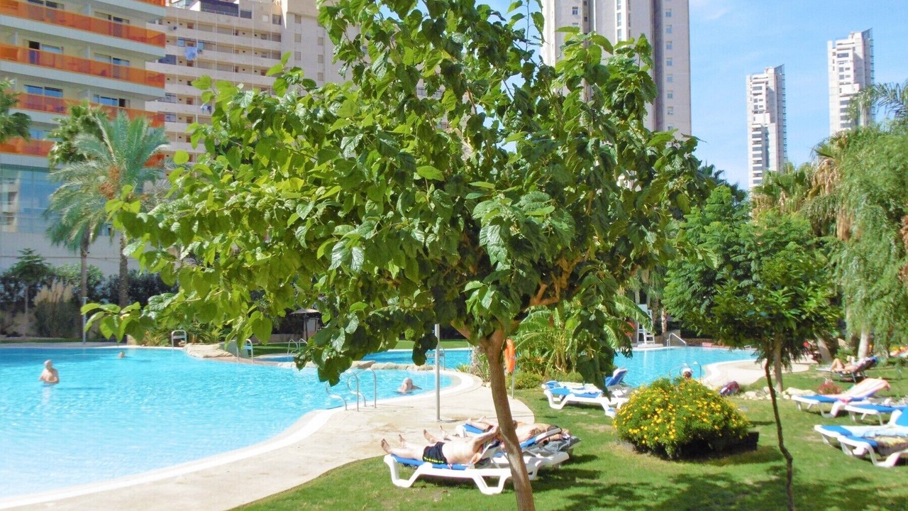 Photo of Outdoor in Benidorm