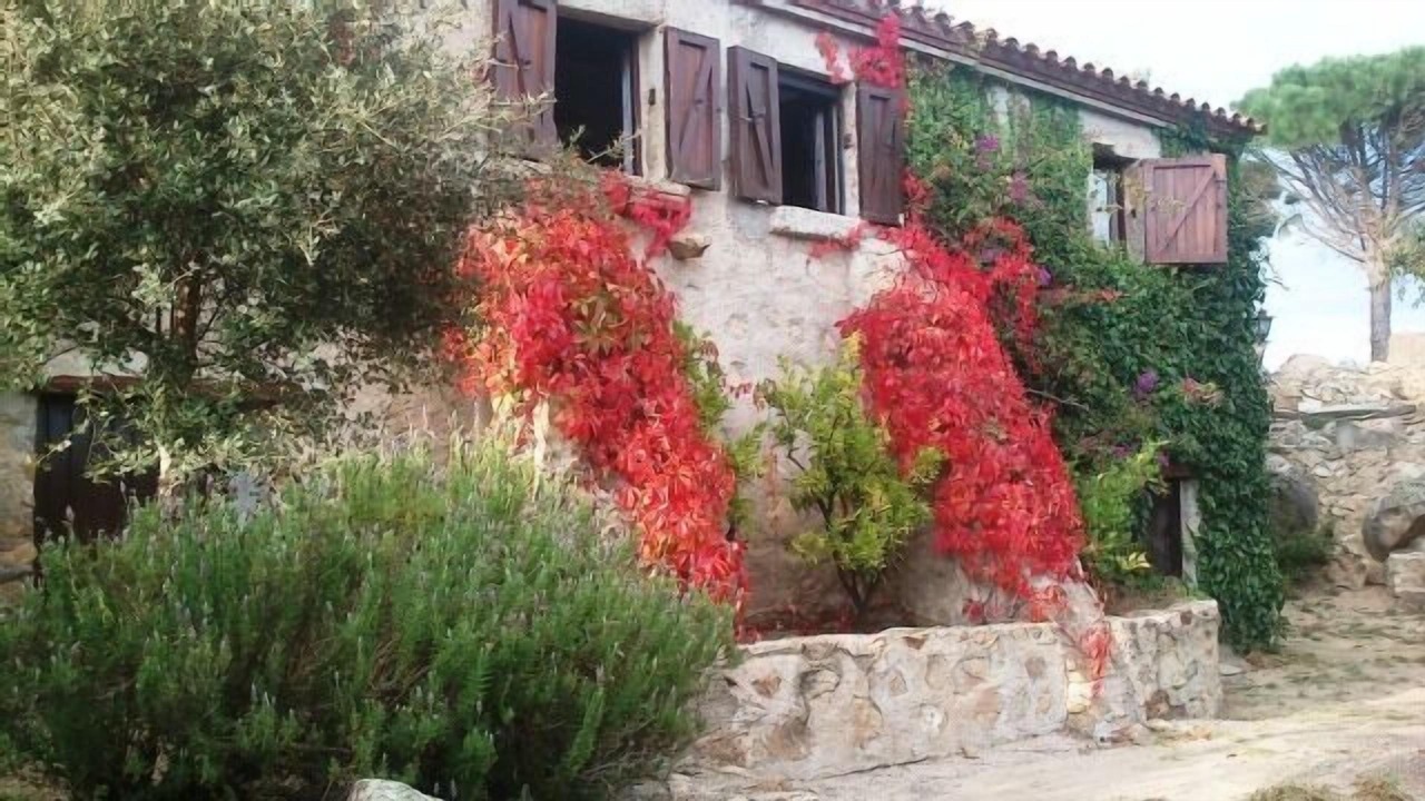 Photo of Outdoor in Capmany