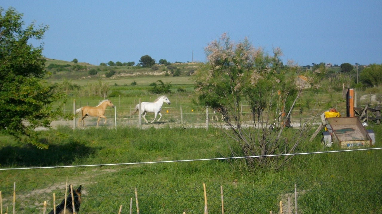 Photo of Outdoor in Vendres