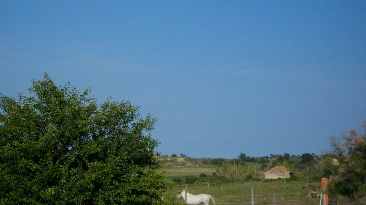 Photo of Outdoor in Vendres