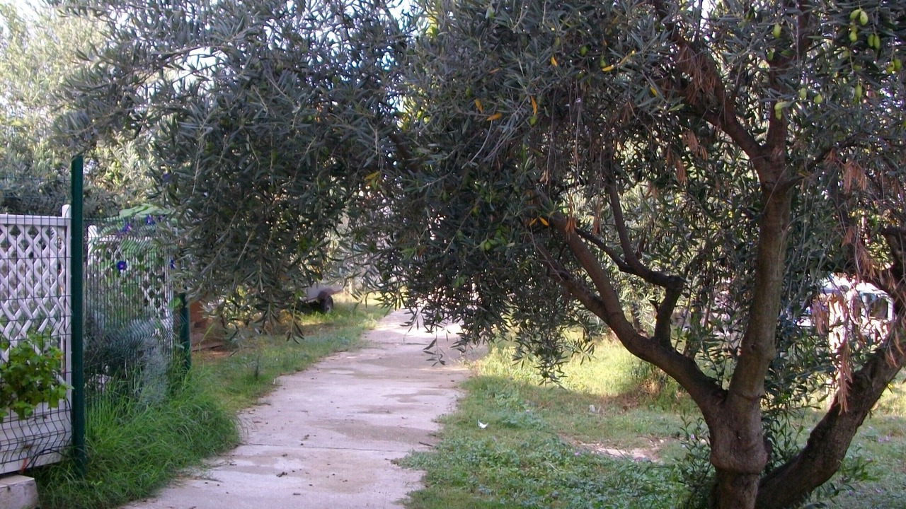 Photo of Outdoor in Vendres