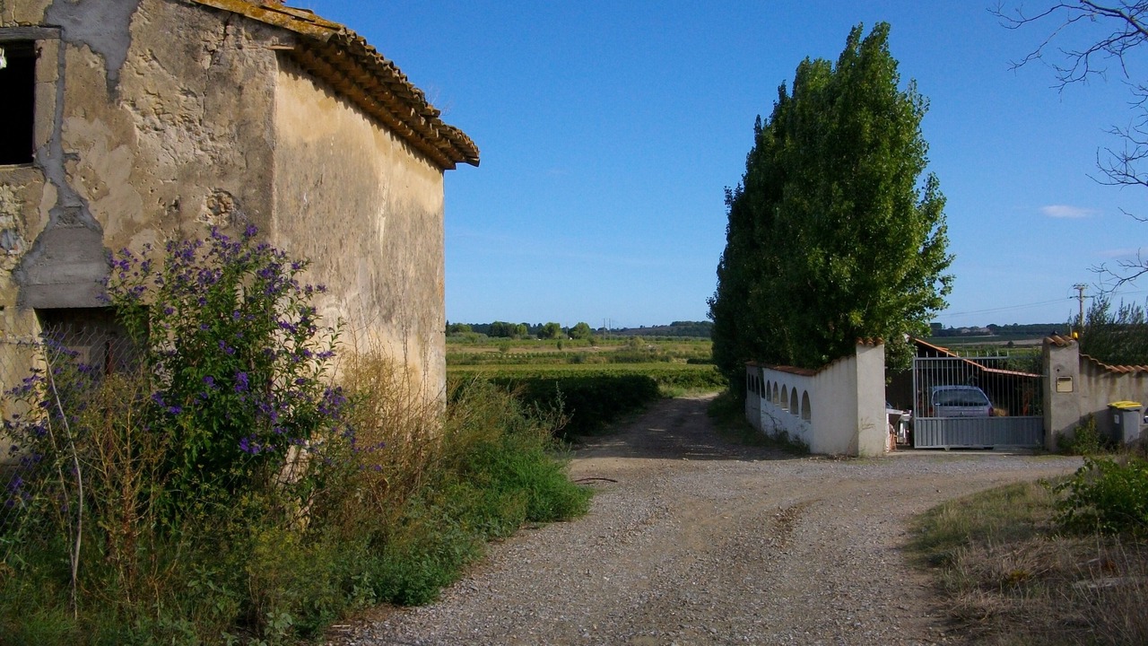 Photo of Outdoor in Vendres