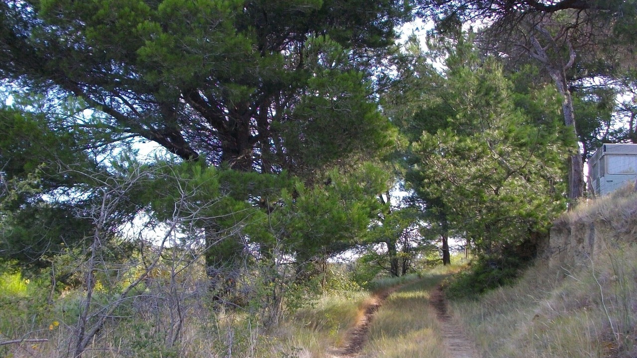 Photo of Outdoor in Vendres