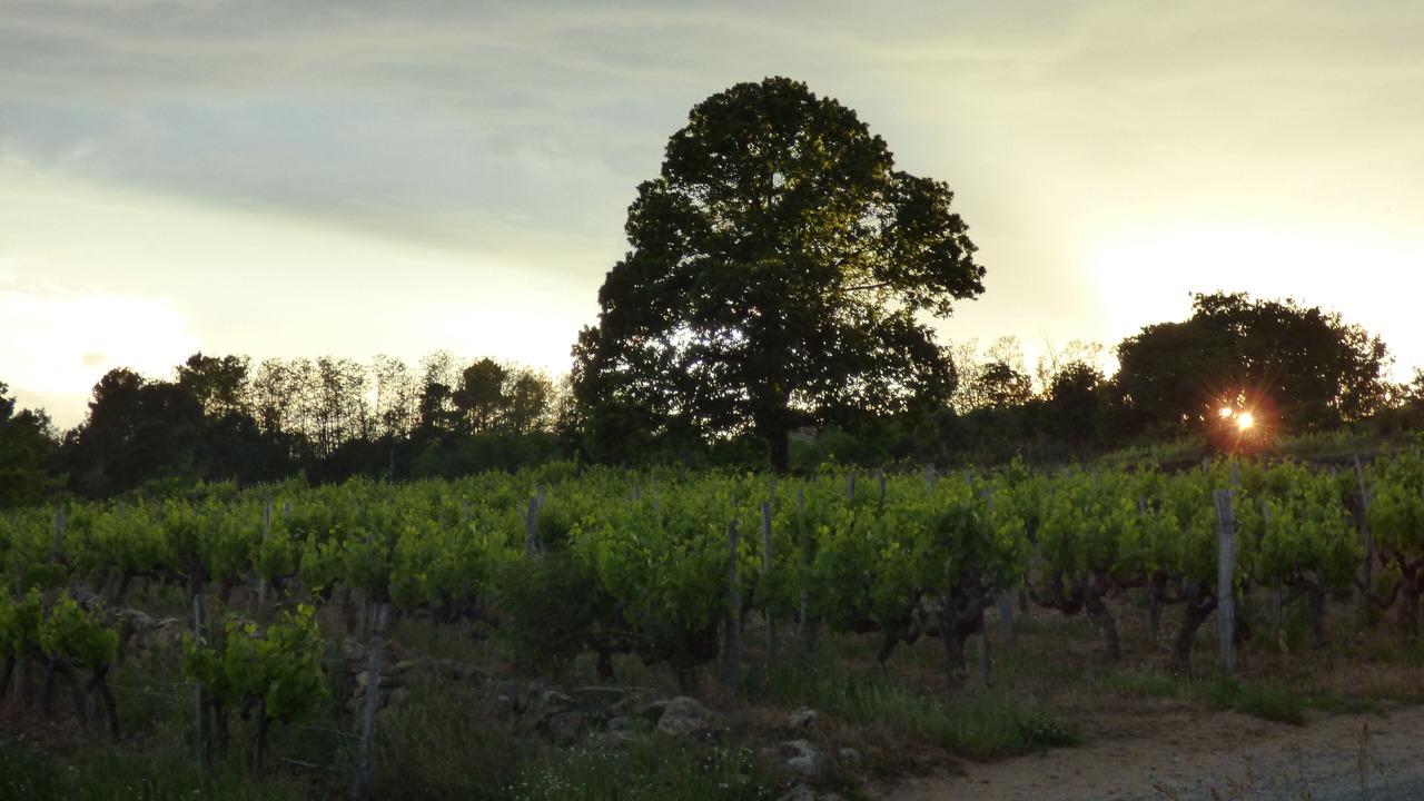 Photo of Outdoor in Payzac