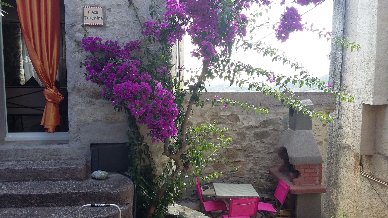 Photo of Outdoor in Rogliano