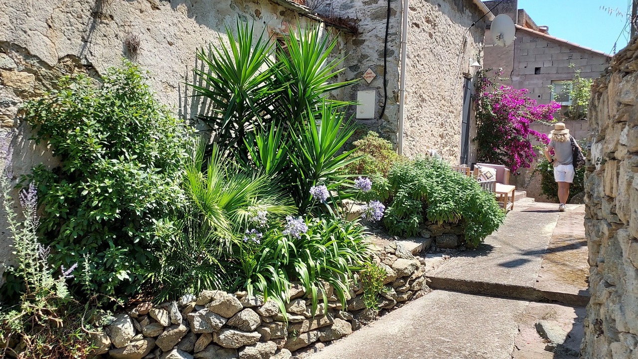 Photo of Outdoor in Rogliano