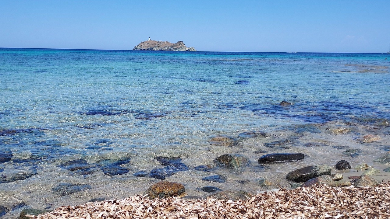 Photo of Others in Rogliano