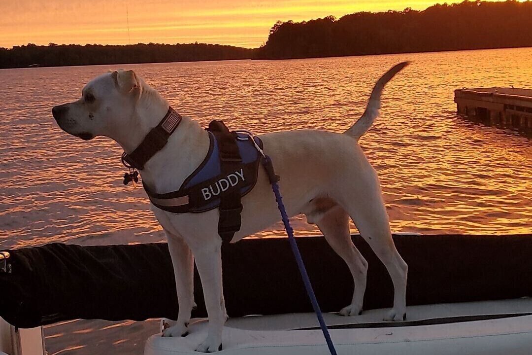 Photo of Outdoor in Hardin