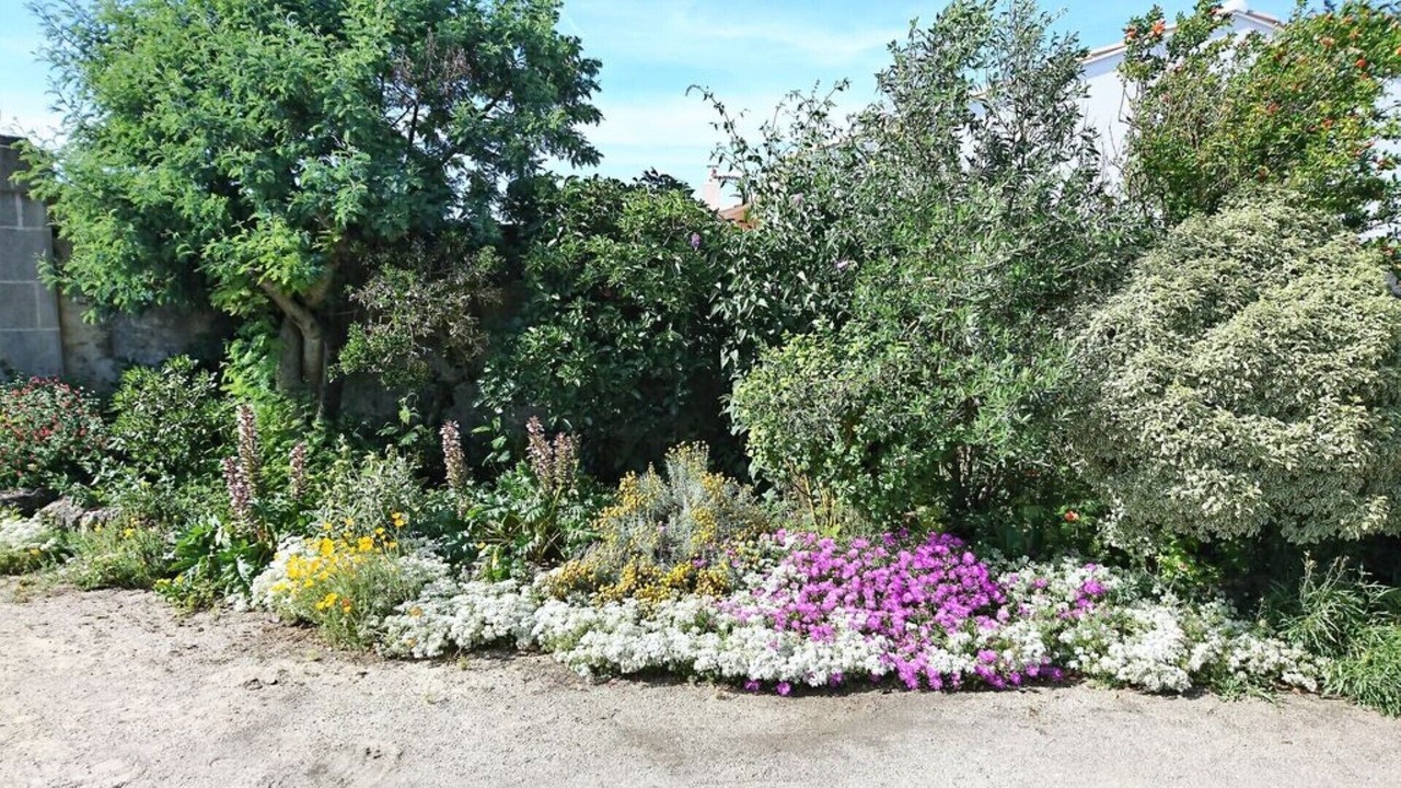 Photo of Outdoor in La Barre-de-Monts