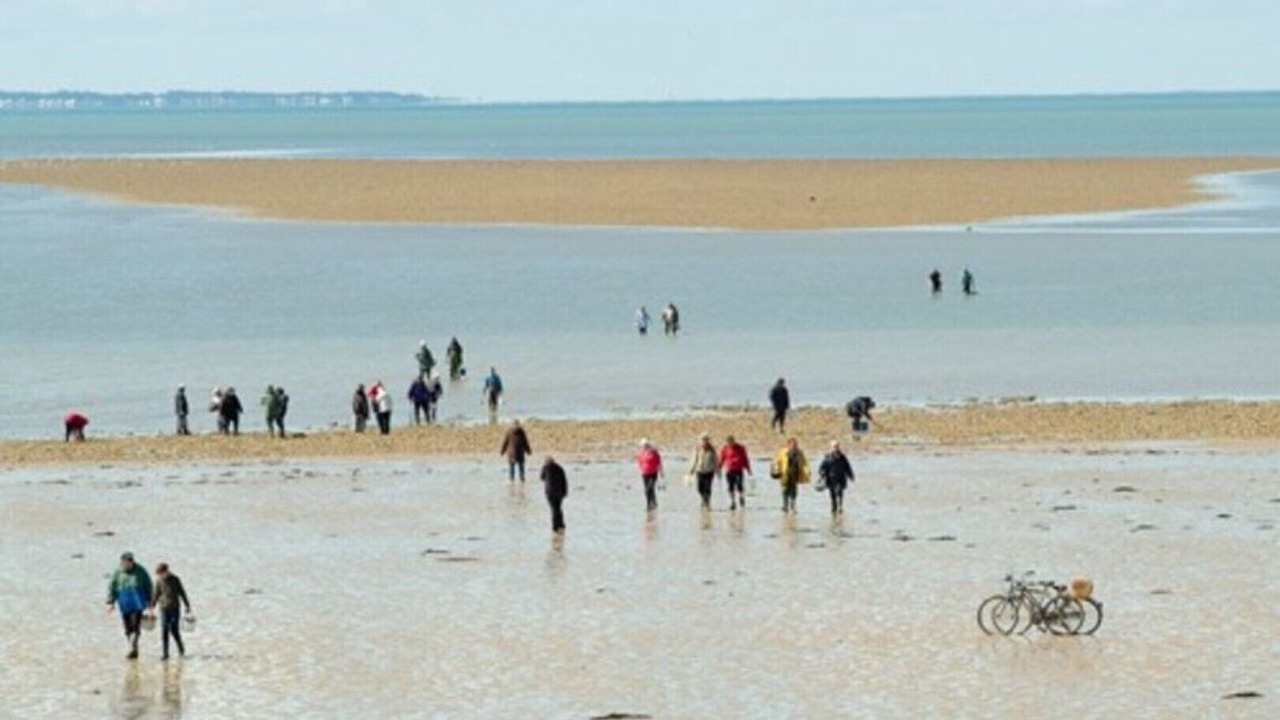 Photo of Others in La Barre-de-Monts