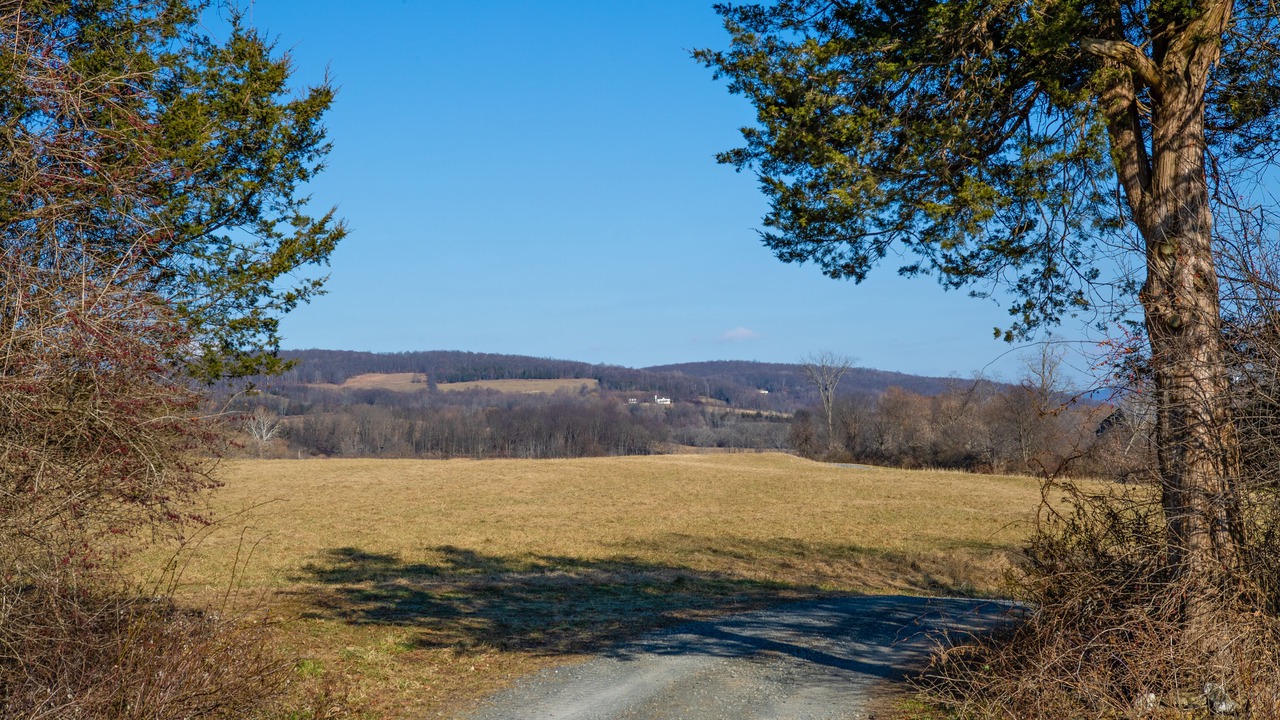 Photo of Others in Pine Plains