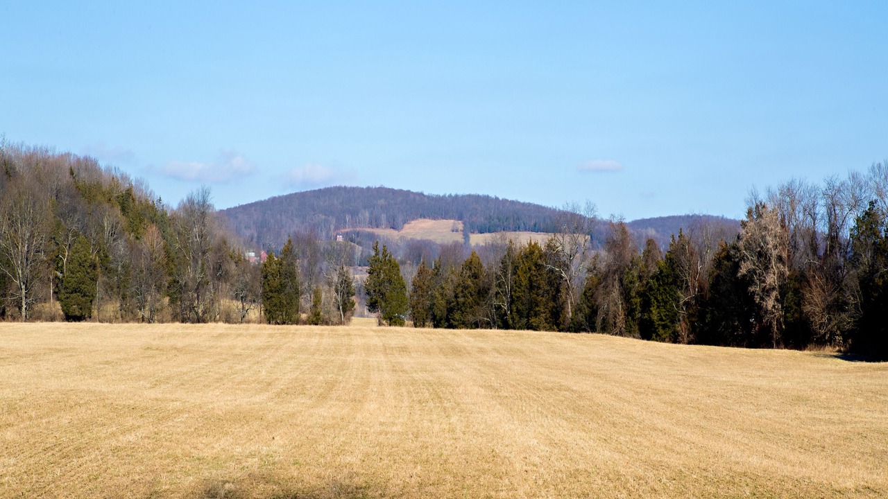 Photo of Others in Pine Plains
