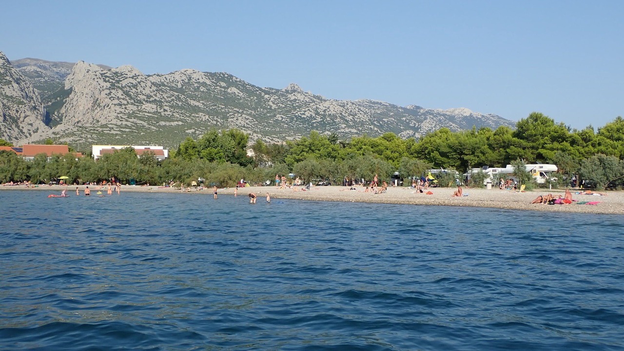 Photo of Others in Seline