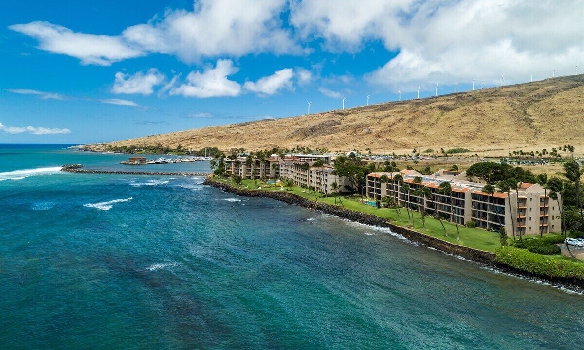 Photo of Others in Maalaea