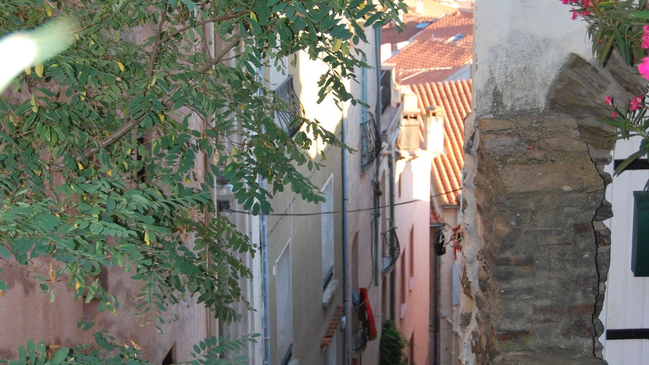 Photo of Outdoor in Collioure